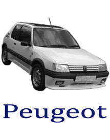 Peugoet 205spares and parts direct to UK addresses